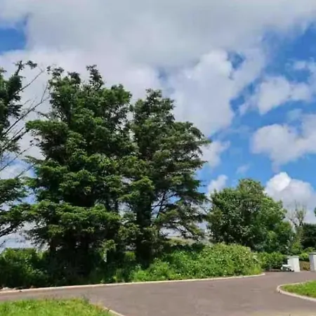 Bus Vacation * Corran